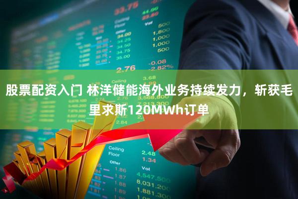股票配资入门 林洋储能海外业务持续发力，斩获毛里求斯120MWh订单