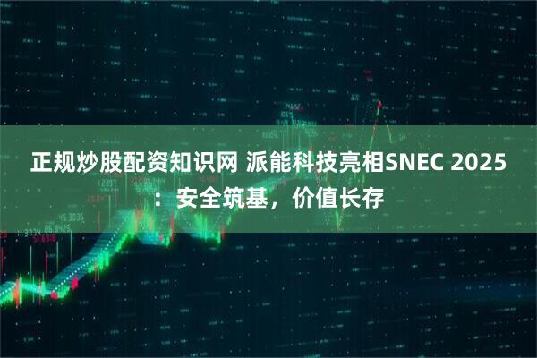 正规炒股配资知识网 派能科技亮相SNEC 2025：安全筑基，价值长存